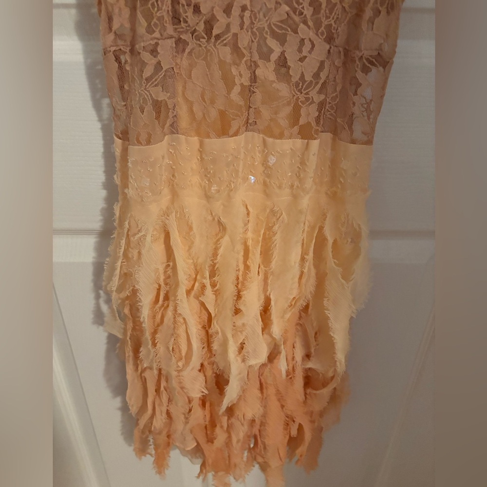 Free People Feather Beaded Lace Chiffon Dress - Picture 5 of 6